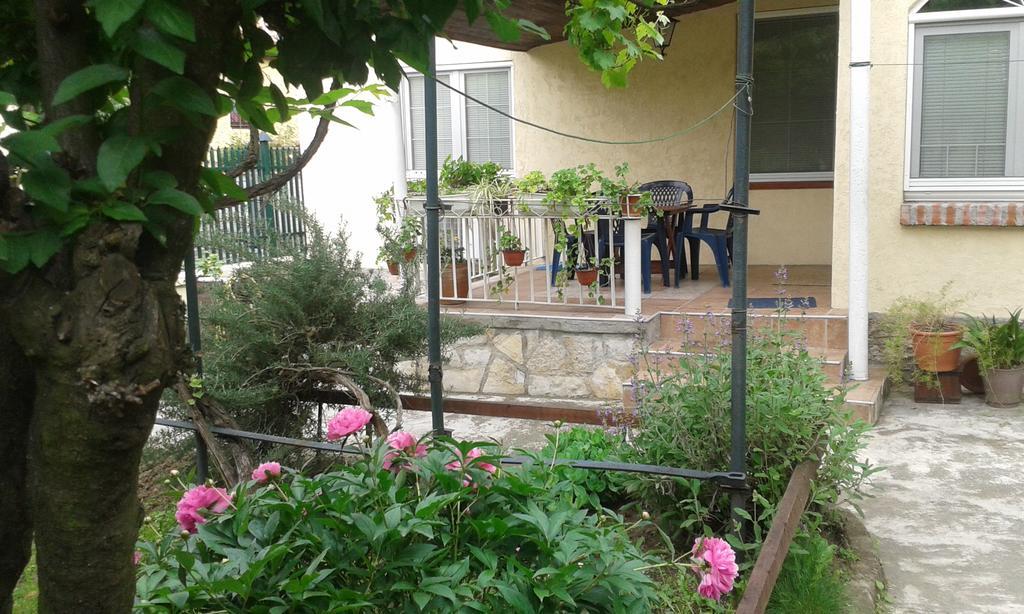 בלגרד The House In Greenery מראה חיצוני תמונה